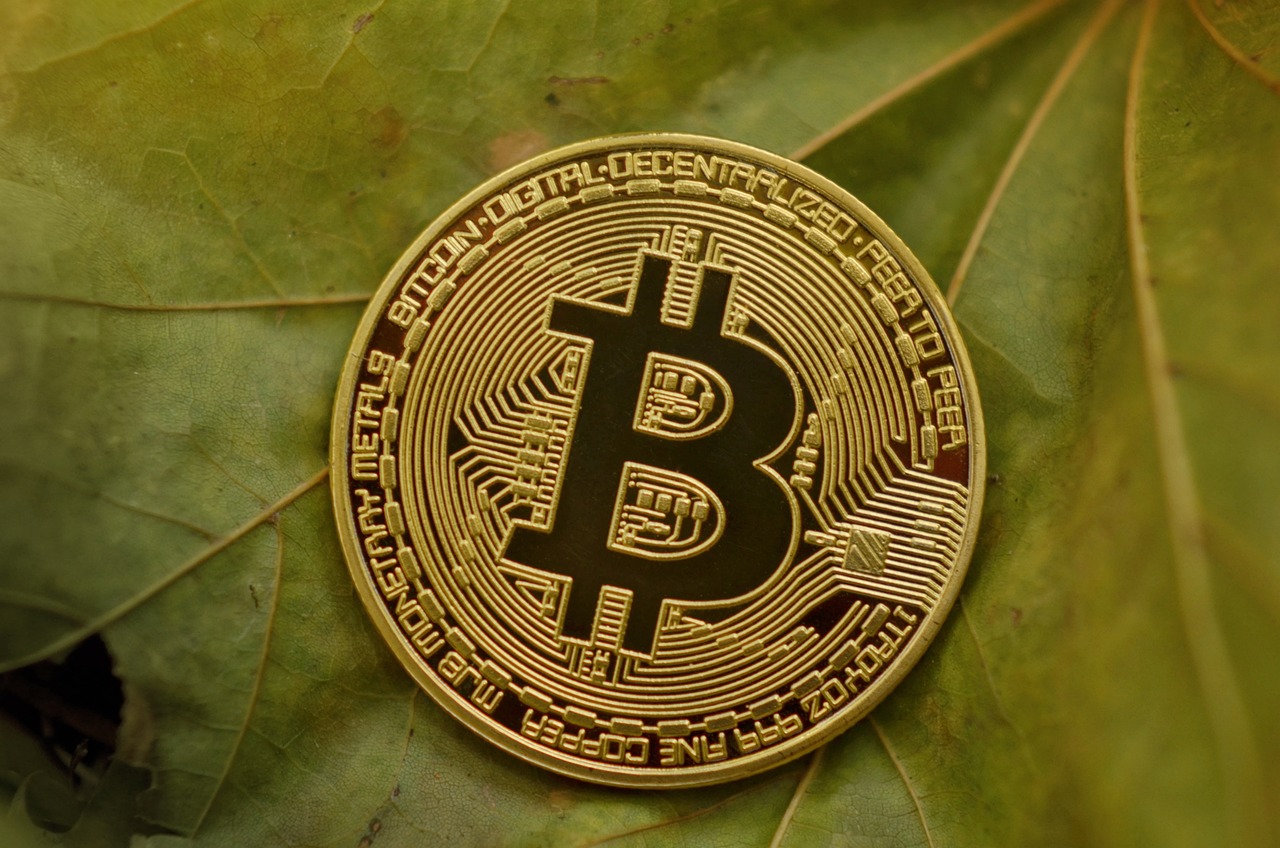 明日之星投资动态，引领未来的策略洞察与动向揭秘