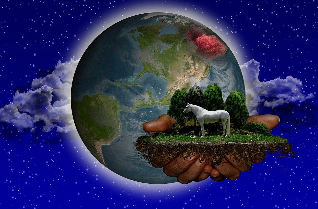 最新虚拟货币探索与解析,探索最新发行货币的世界