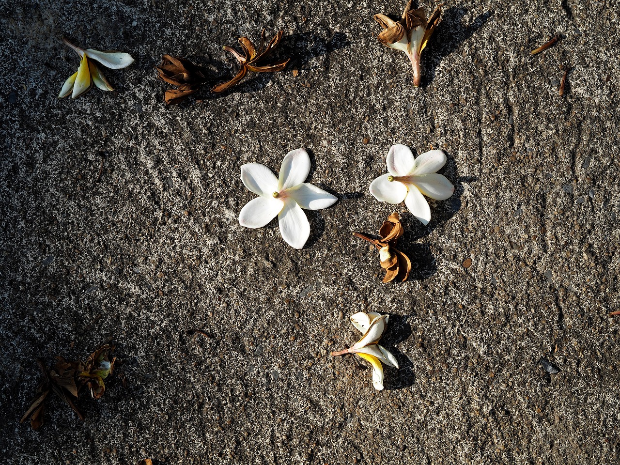 宁波高塘四村最新消息与动态更新