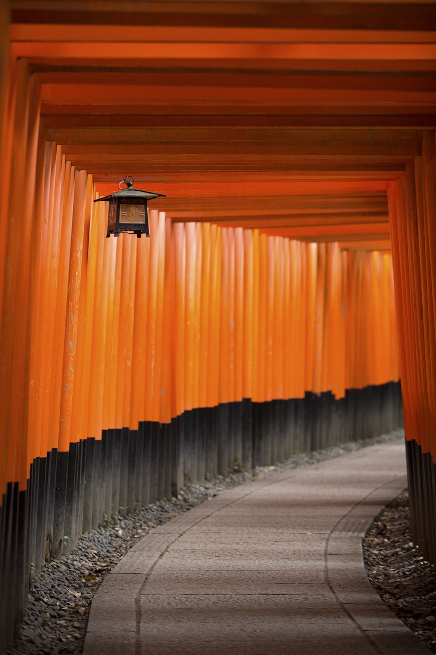 迈瑞医疗国内上市最新进展报告,实时更新动态及关键信息解析