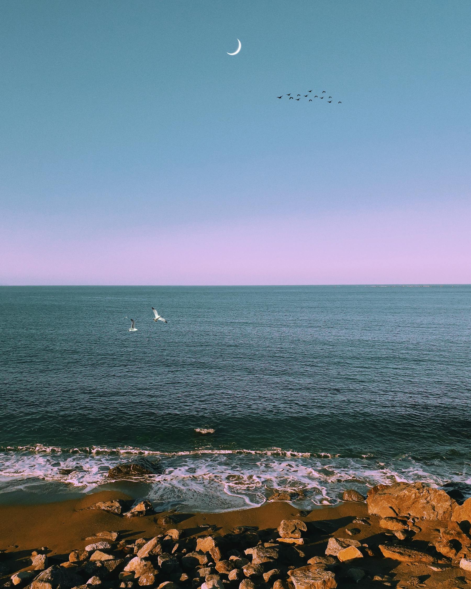 张家口河山一品城最新动态,城市发展的璀璨明珠,瞩目之处展现新面貌