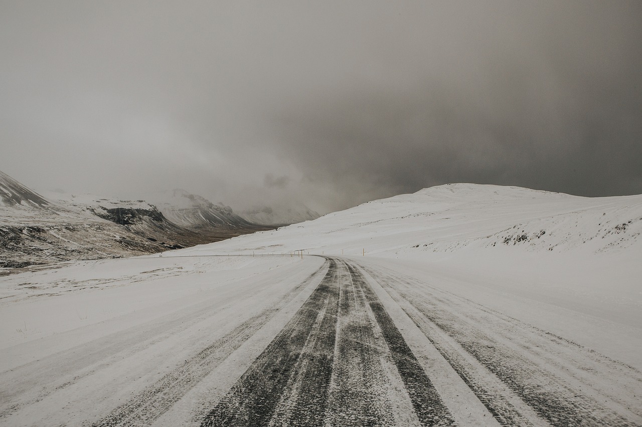 秦渊江雪,命运的交织与情感的碰撞——最新章节全文阅读