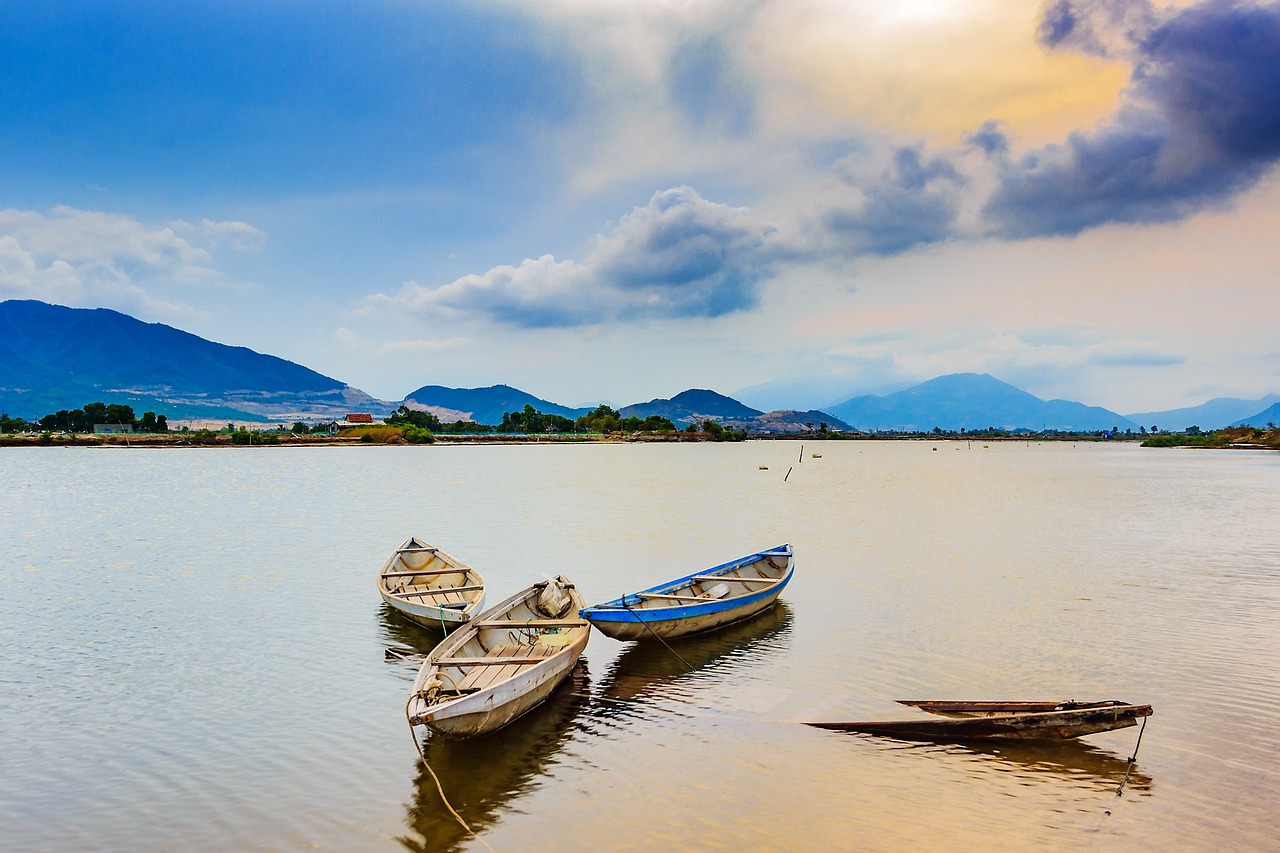 股票最新指标详解,洞悉市场动态的关键工具