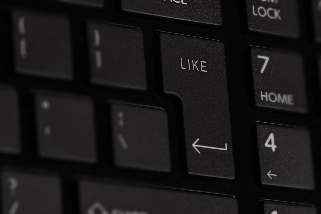 乌鲁木齐最新防水招标信息及其重要性解析