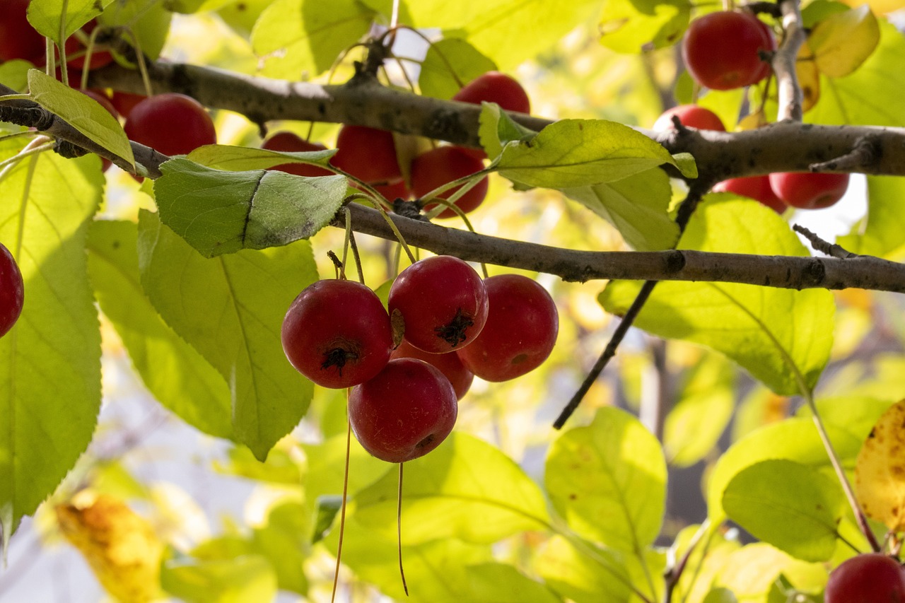高阳最新新闻速递,最新动态一网打尽