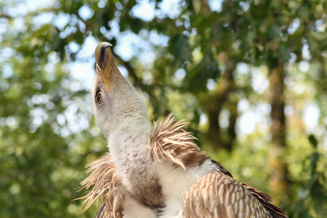 兴义最新房价动态与市场趋势深度解析