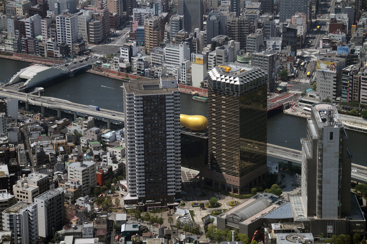 丰城最新规划建设，塑造未来城市的崭新面貌新篇章
