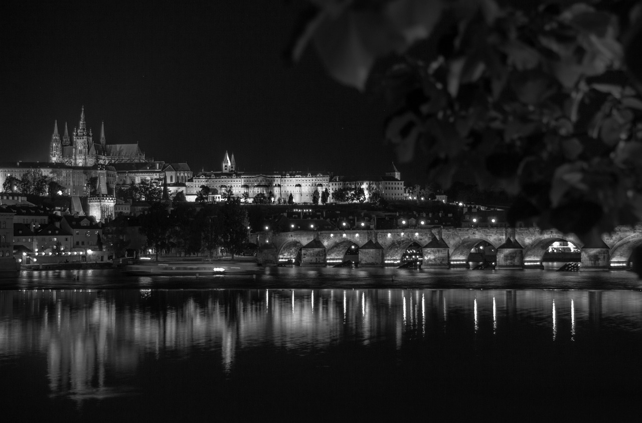 今晚澳门特马开的什么,“深入解析投资版81.61.11的市场动态与未来趋势”