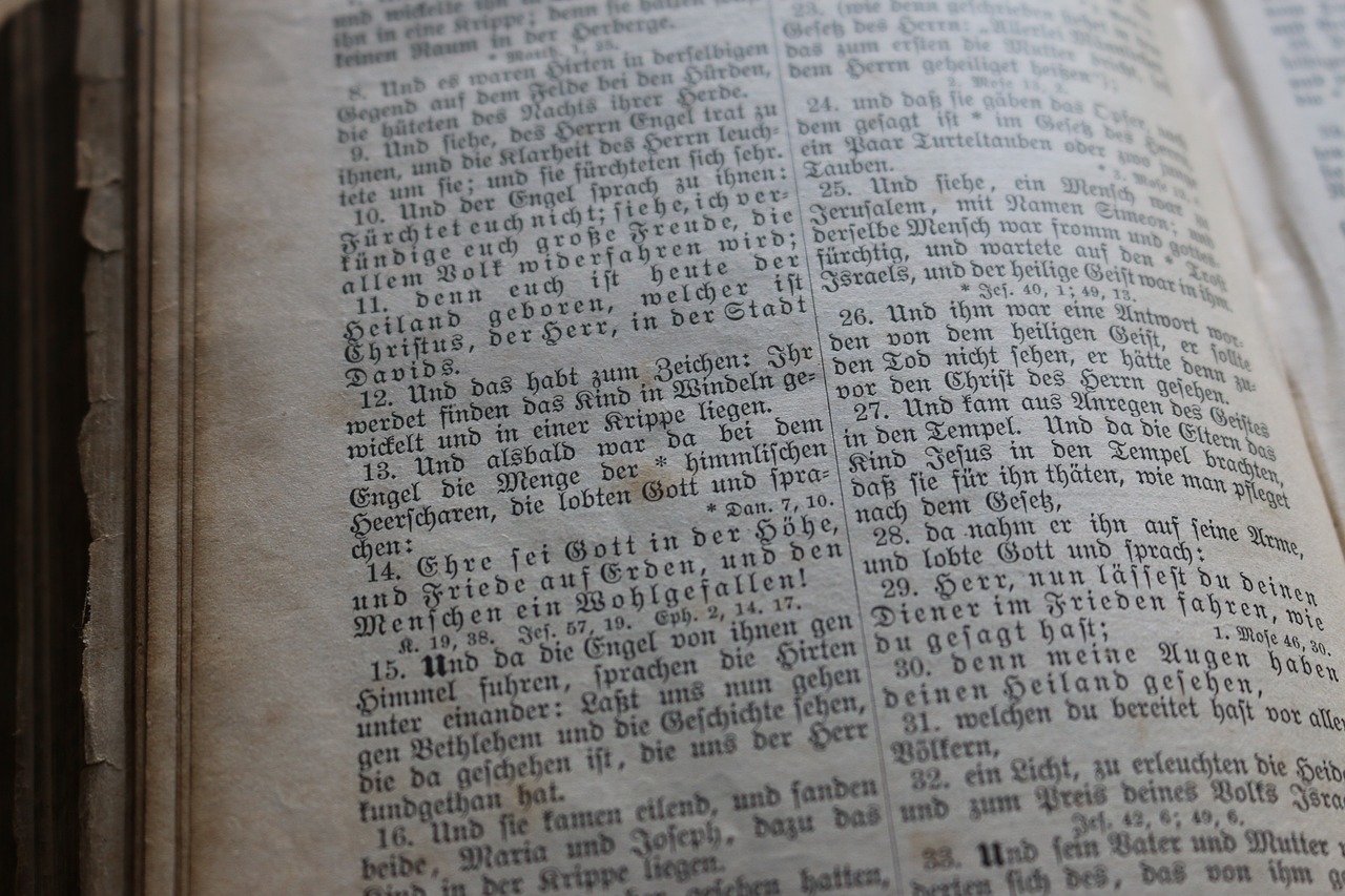 二四六天天彩资料大全网最新排期,探索PRX56.38.51的神秘世界与应用前景