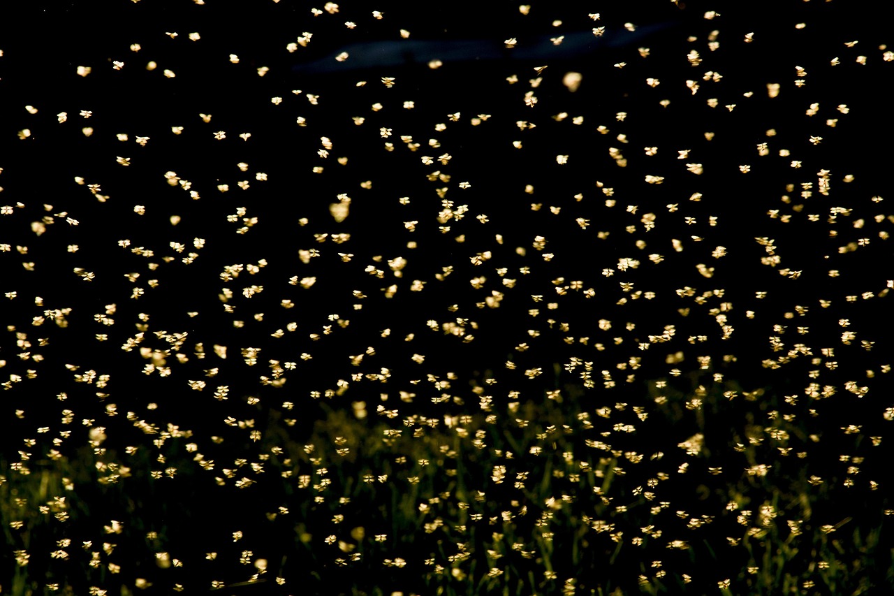 实时时钟芯片(RTC芯片)技术前沿及未来应用展望