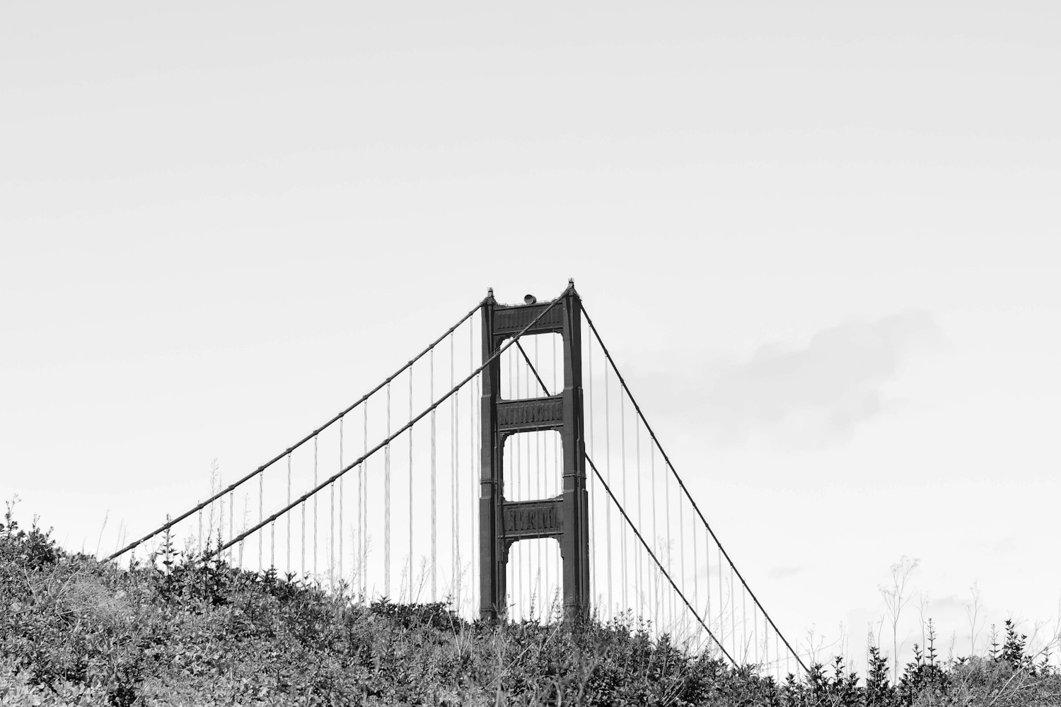 桥型电路图,电子世界的桥梁构建者揭秘