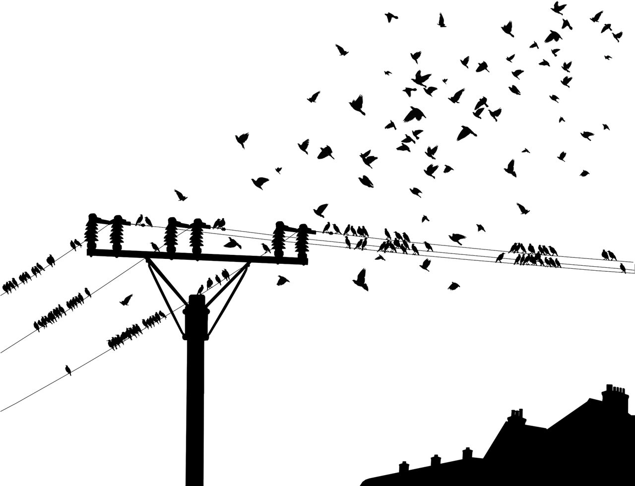 深度解析，16位电压技术及其应用探究