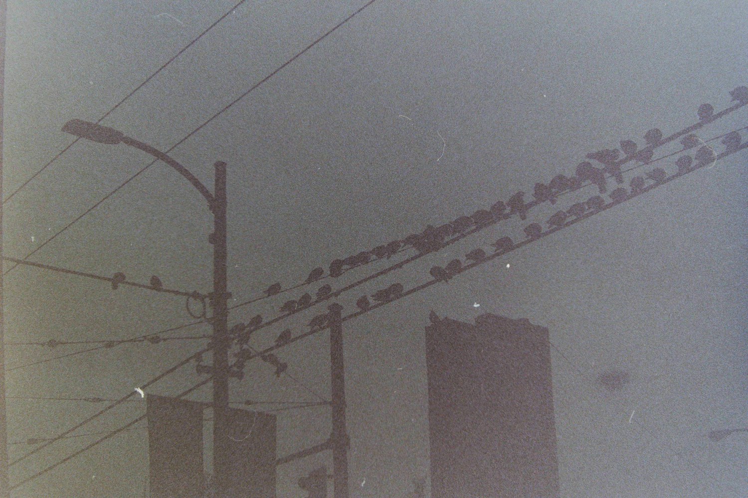 探索揭秘，220V LED小夜灯电路图设计与工作原理详解