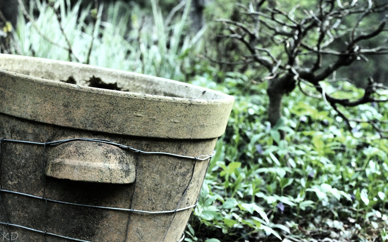 最新举牌个股动态,市场动向解析与投资机会探讨