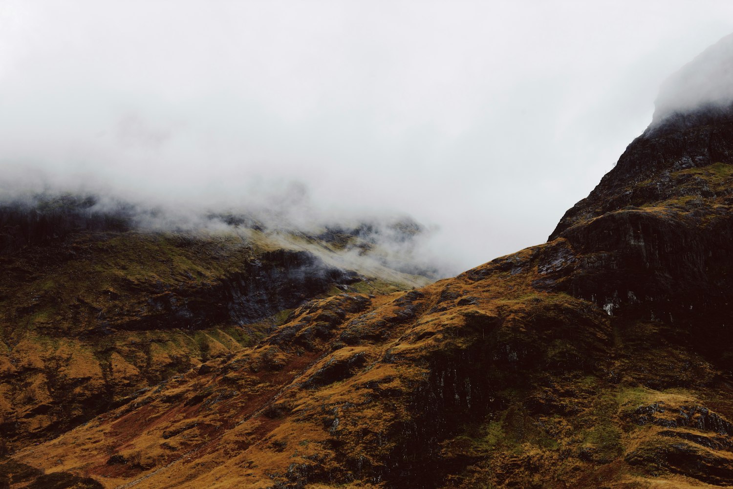 酷酷的滕最新动态及影响力概览