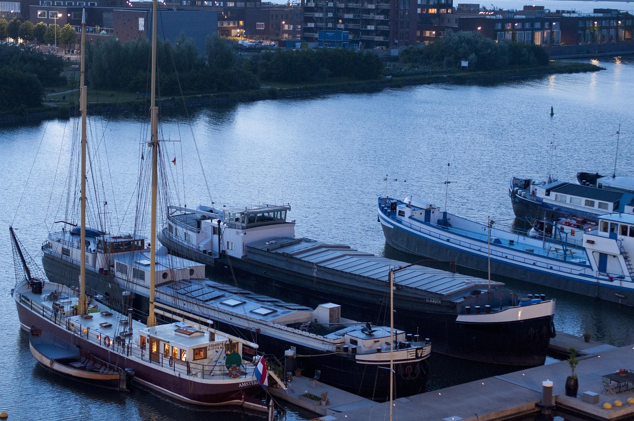 最新捕鱼网站，探索现代在线捕鱼新领域