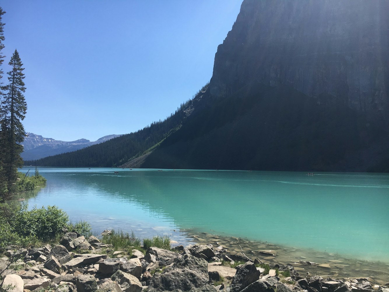 武义城市发展与民生改善最新动态新闻综述