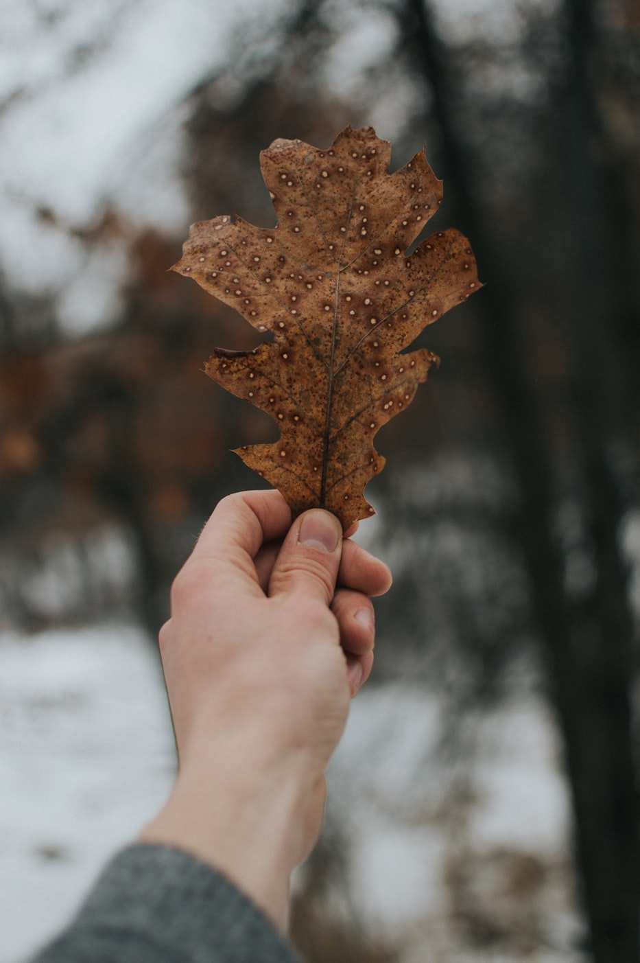 前沿科技深度解析，以169xiu为例，探索最新发展动态