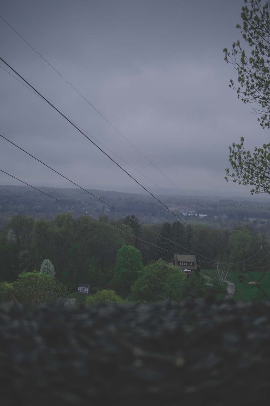 广东最新天气概览与动态更新信息解析