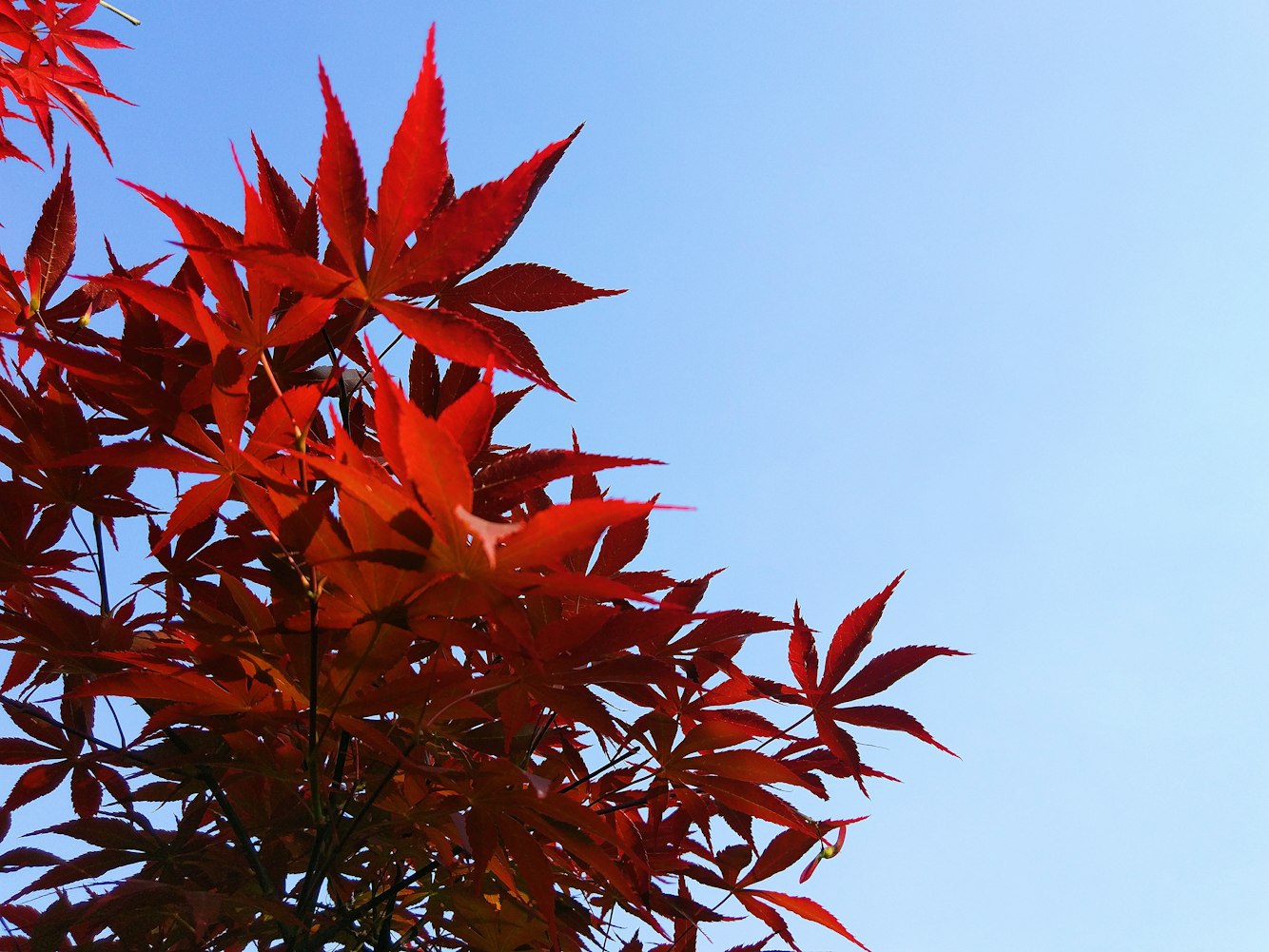 长沙水位最新资讯，城市水情动态、应对措施及水位更新情况