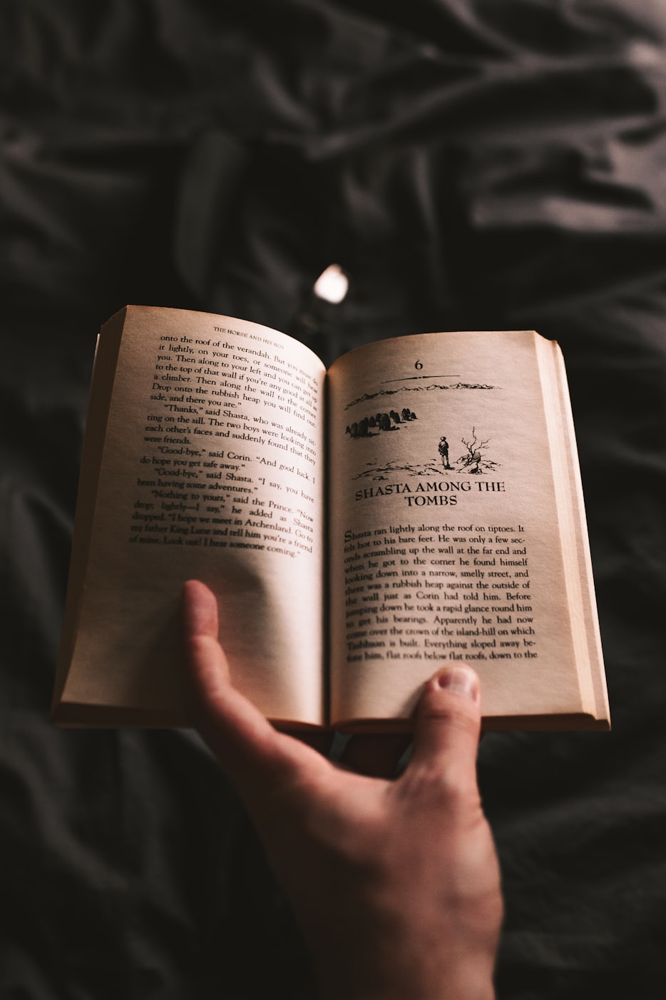 Zydzyd最新小说探索未知领域，深度解读与剖析