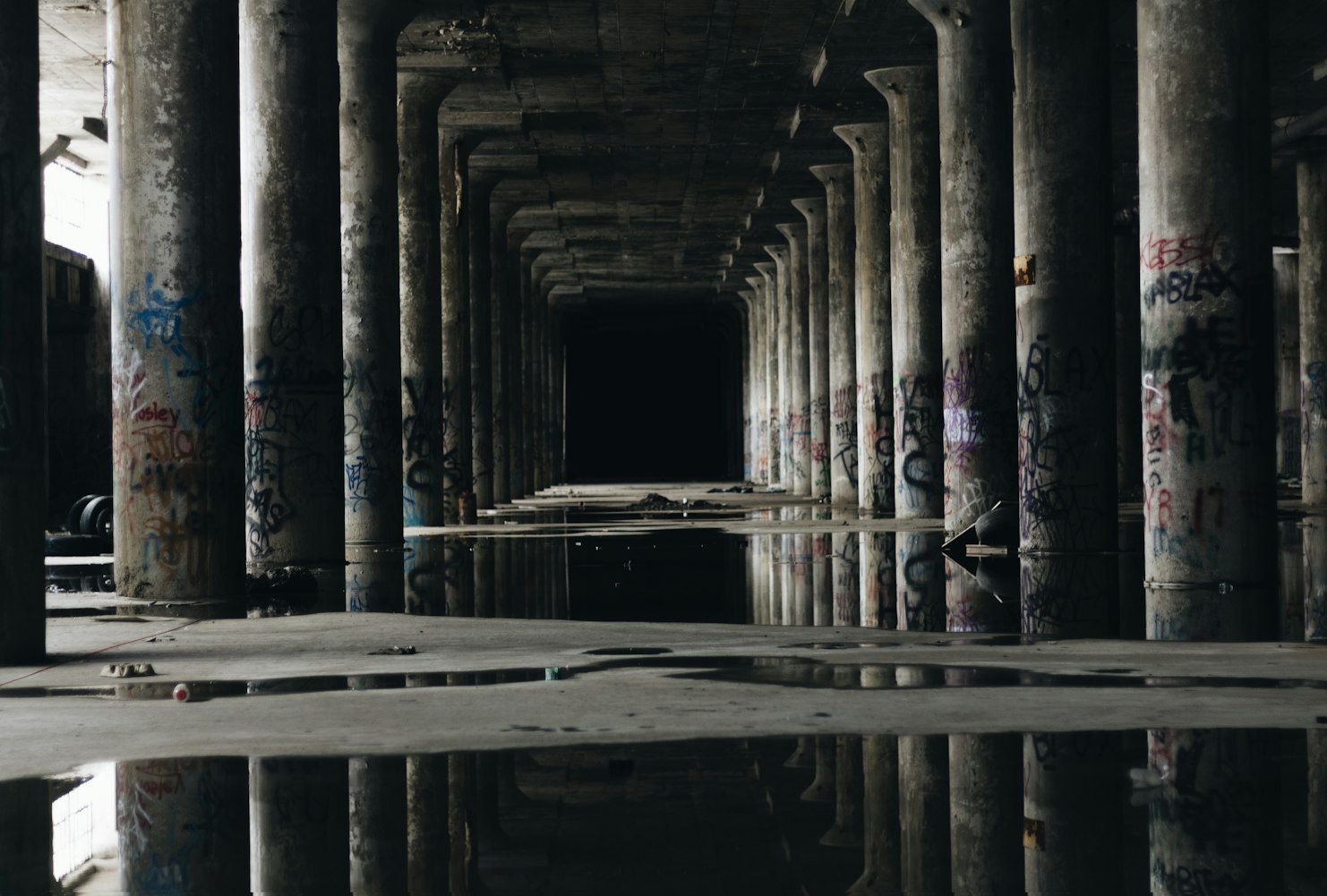 最新动态揭秘,永恒圣王的神秘面纱与无尽荣光探索