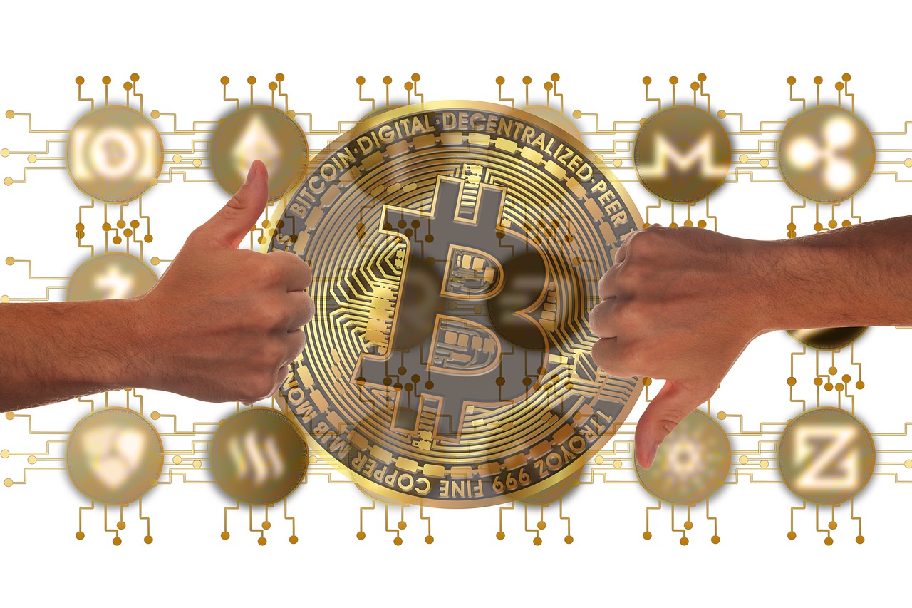生鱼最新行情分析与市场动态