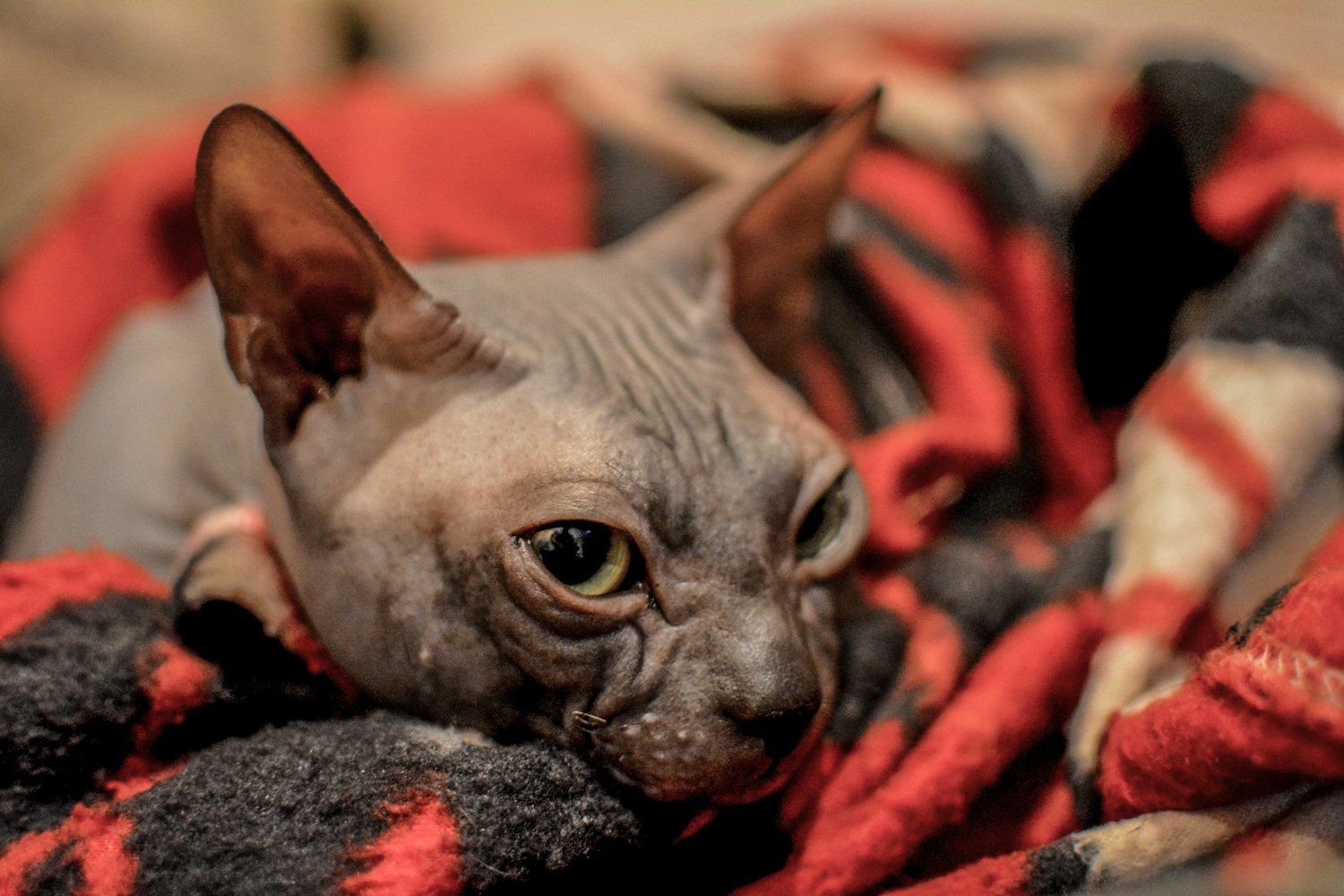 电磁流量计 第30页