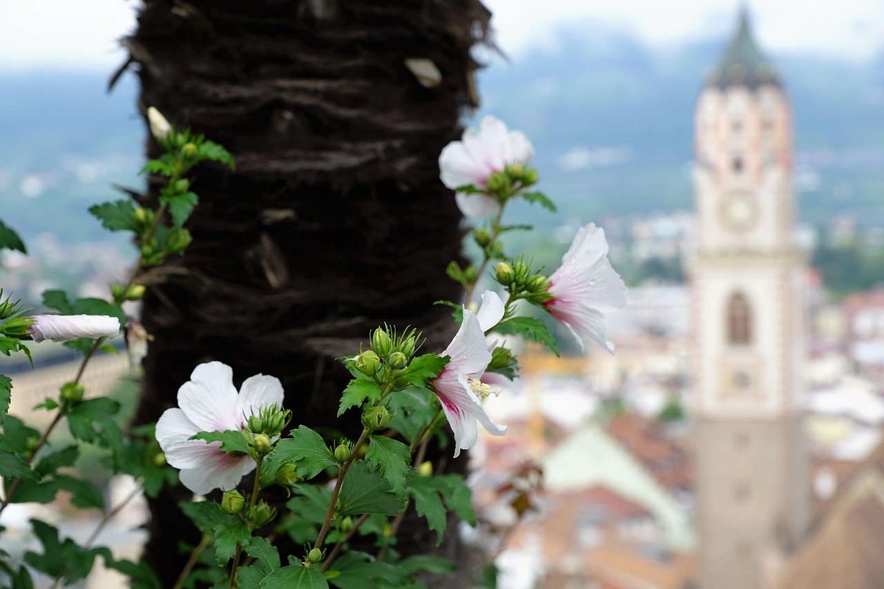 广东侨联积极作为，推动侨务工作创新升级，最新动态展望新台阶