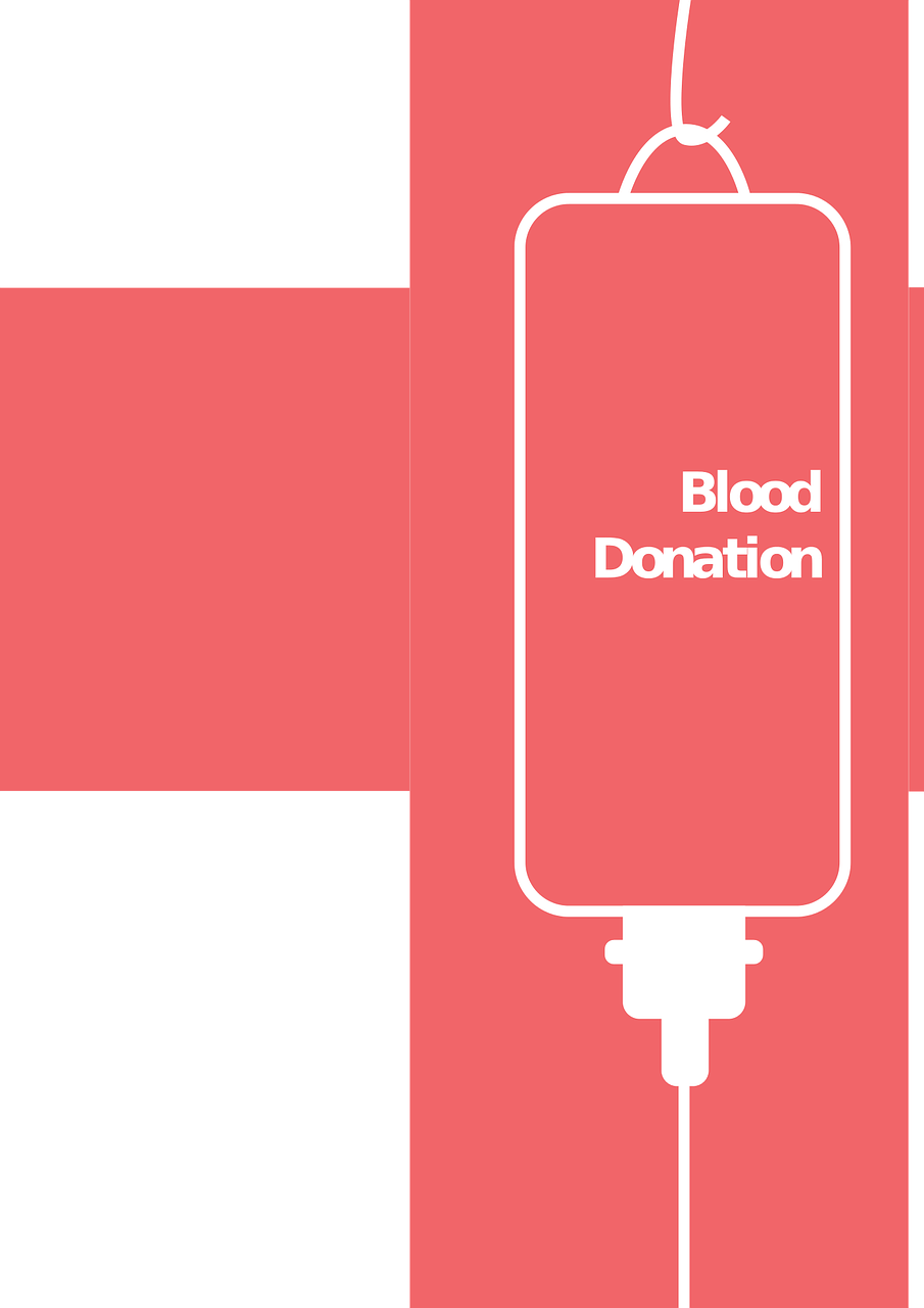 洞口最新房价动态及市场分析与趋势预测