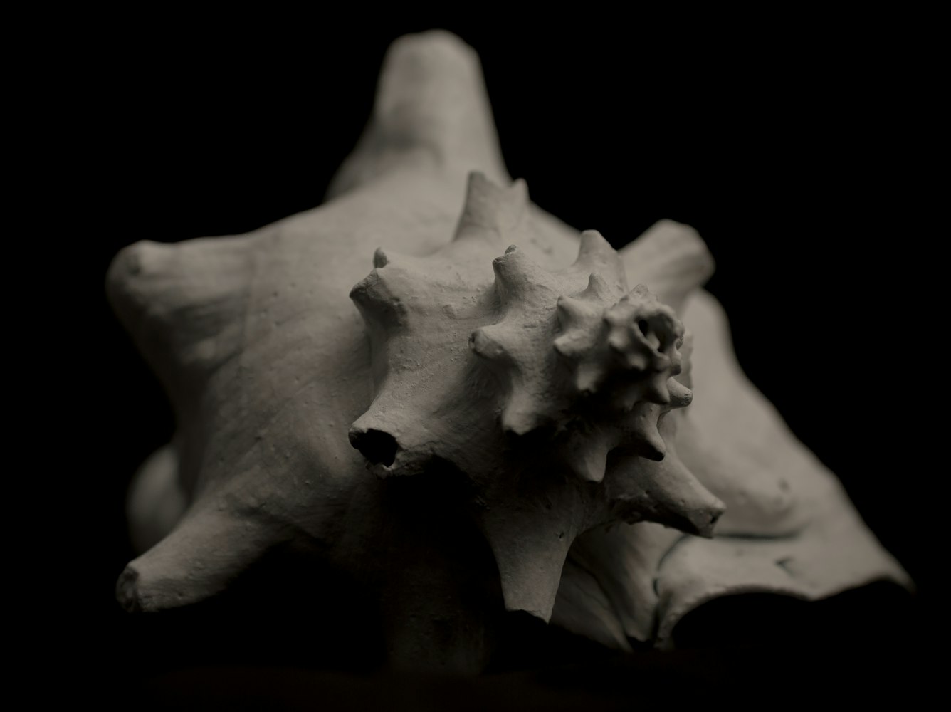 共享雨伞项目最新进展与前景展望，创新动态及未来趋势分析