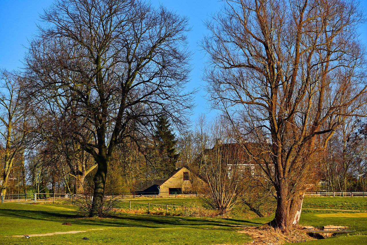 宏仁村最新动态，乡村振兴与社区发展新篇章的启航之路