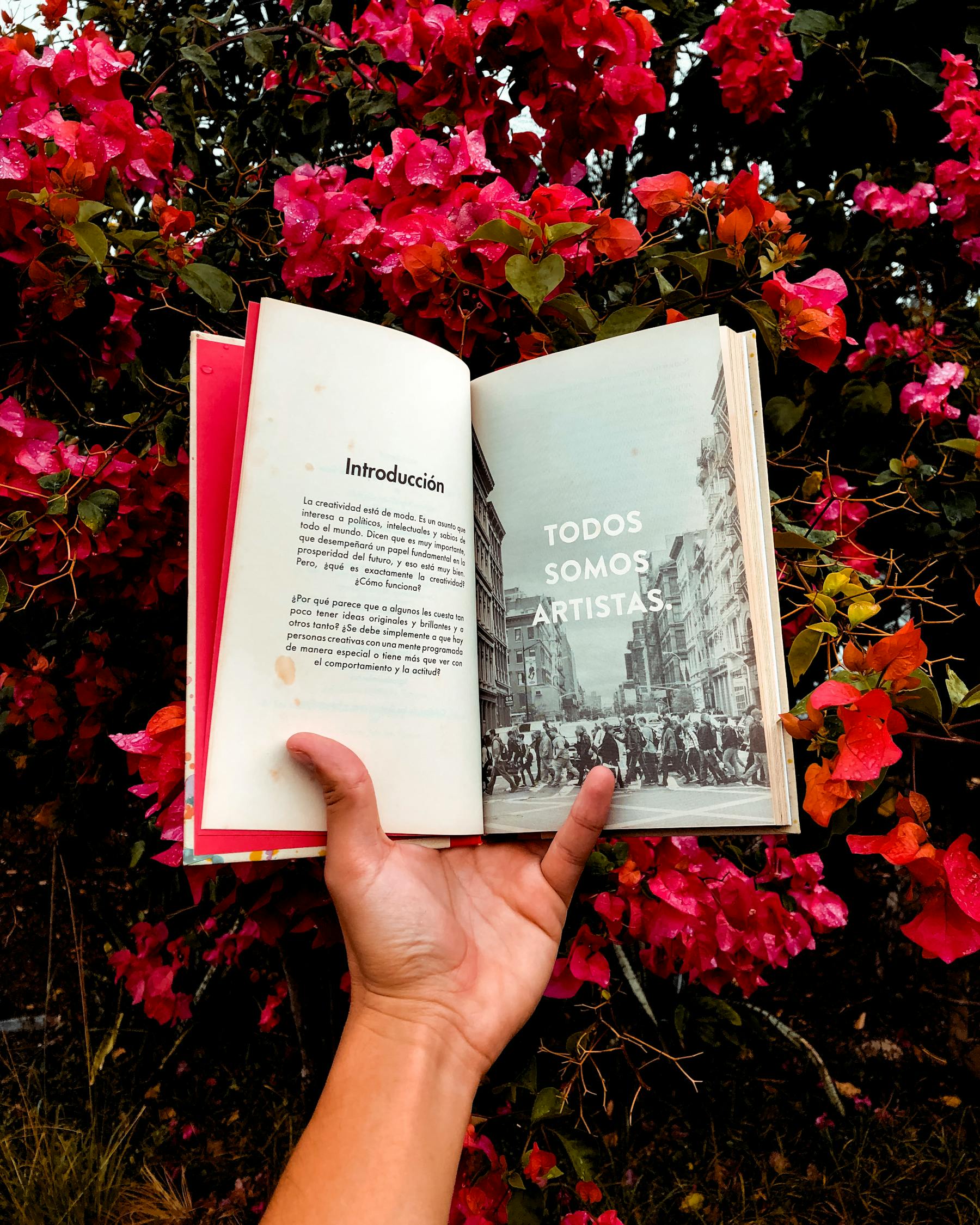 英国最新留学咨询深度解读与解析