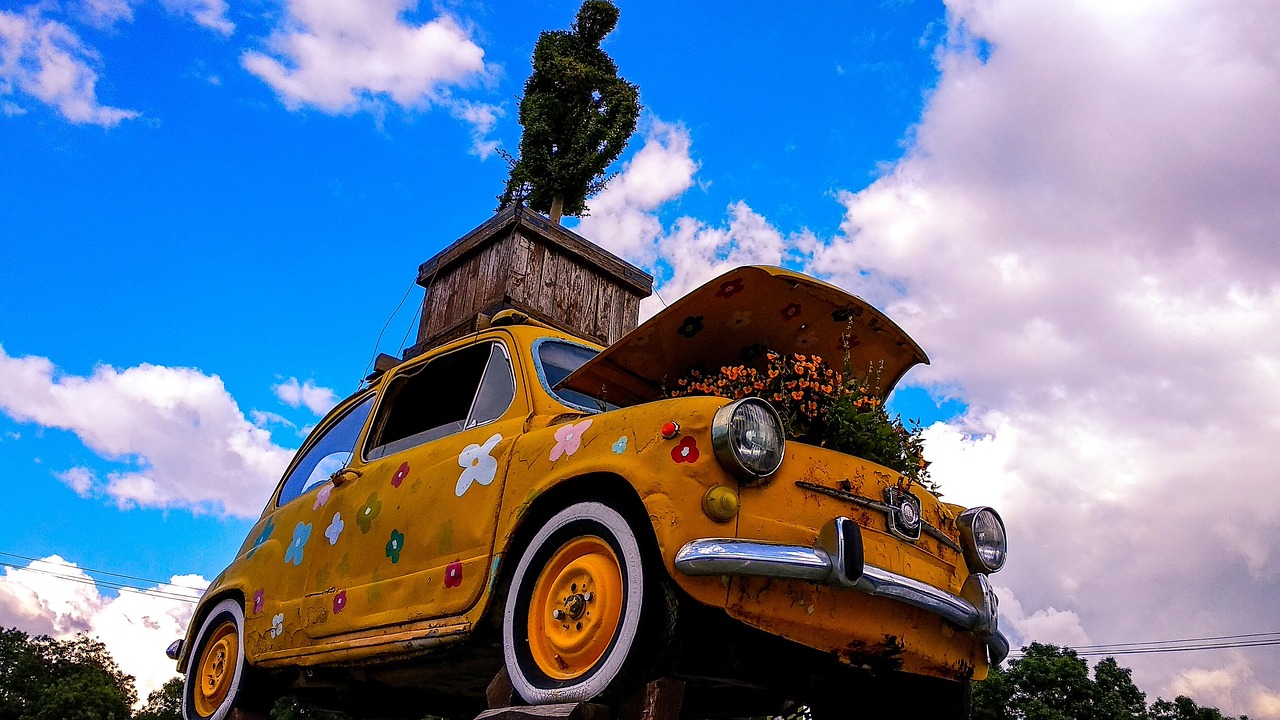 小池开发最新动态，迈向可持续繁荣的新篇章启程。