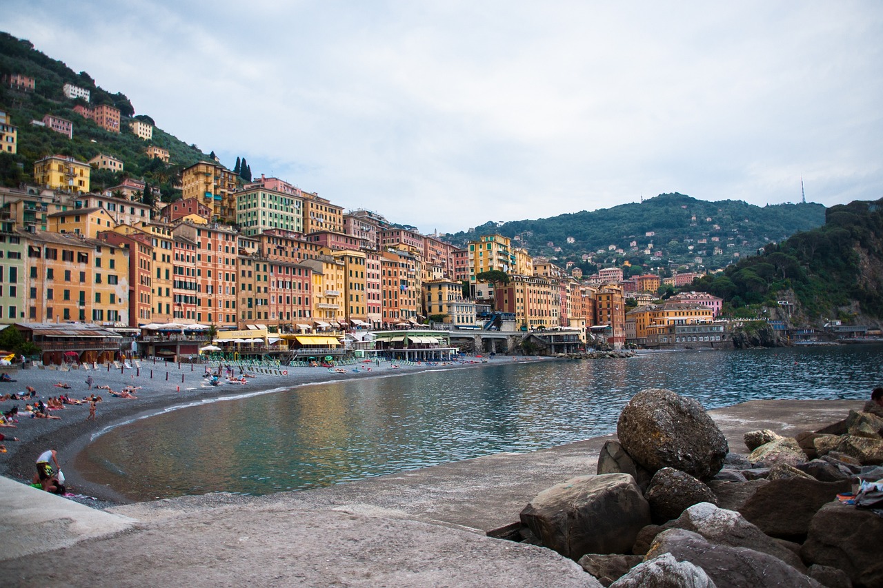 沛县楼盘房价最新动态解析及趋势预测