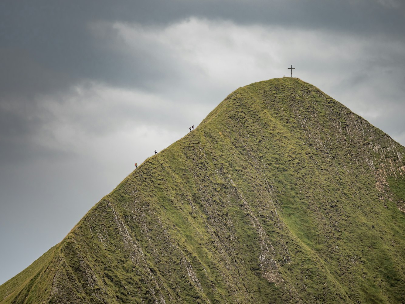 海南瑞泽最新公告详解，重大更新与动态速递