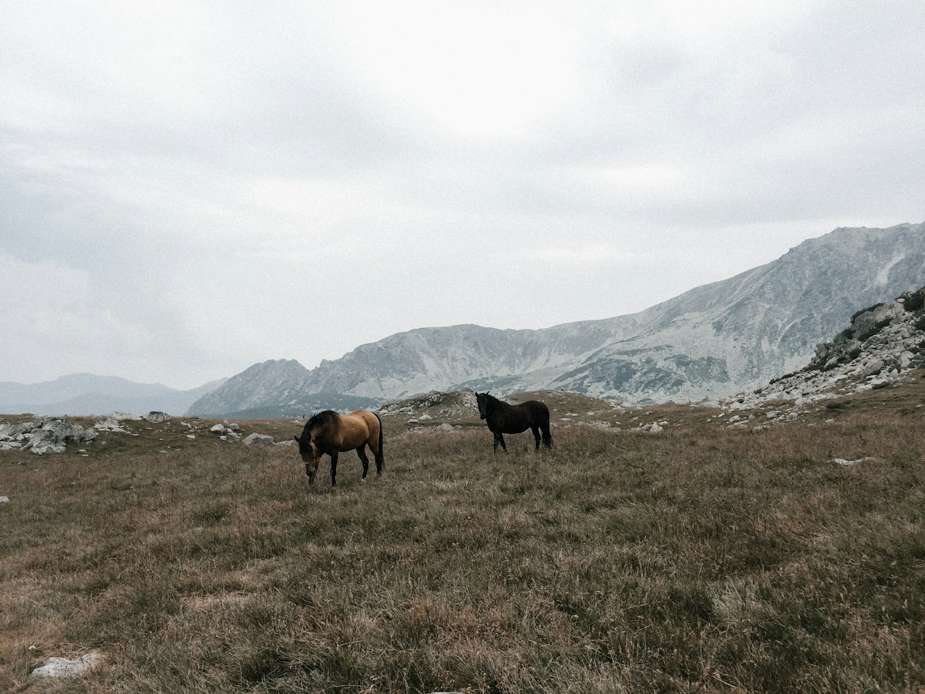 海南瑞泽最新公告详解,重大更新与动态速递