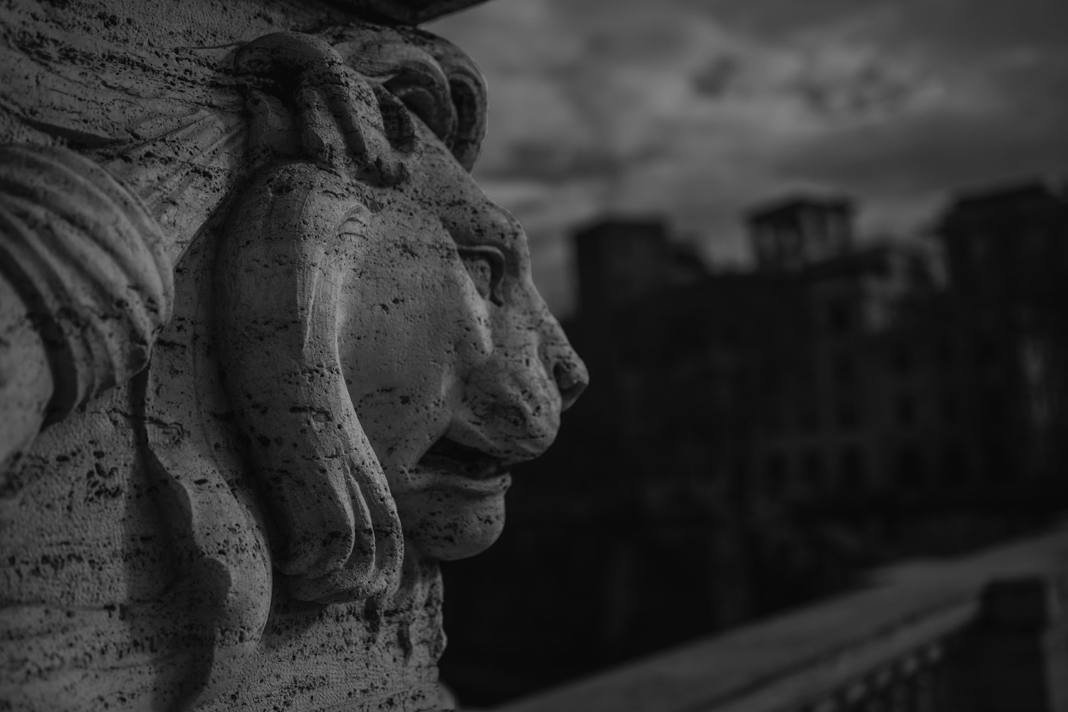 陶居士最新分享,生活新视角与智慧启示的探索