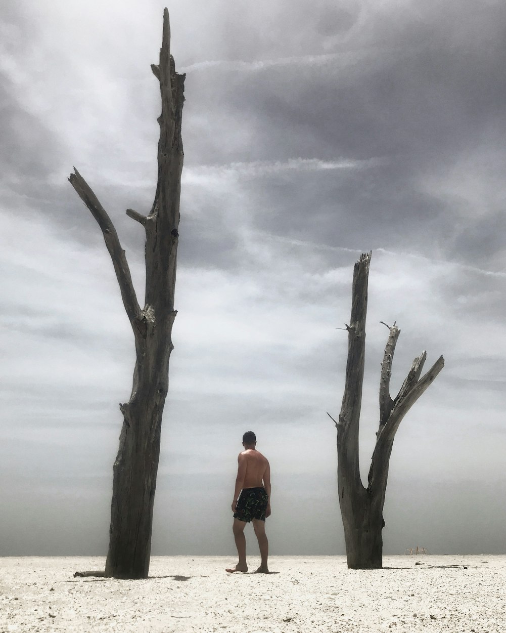 日韩文化交流新基地,探索启示与最新动态