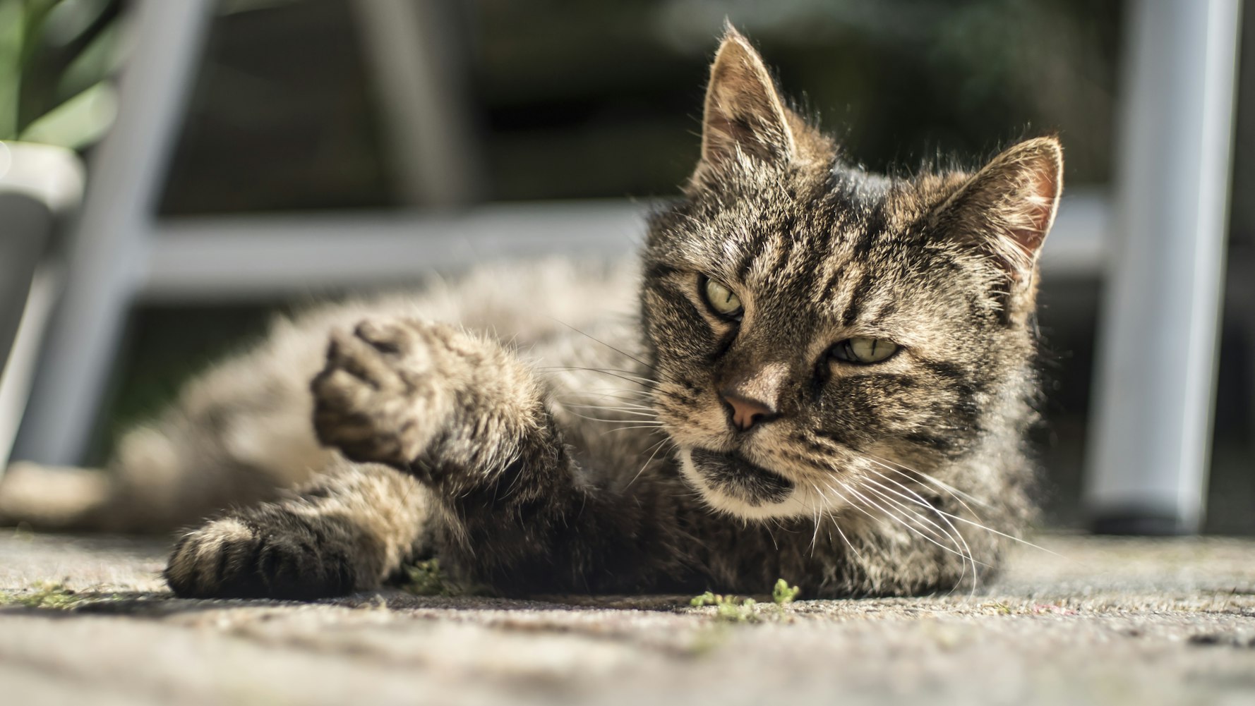 Amazon最新股价动态及市场影响力分析