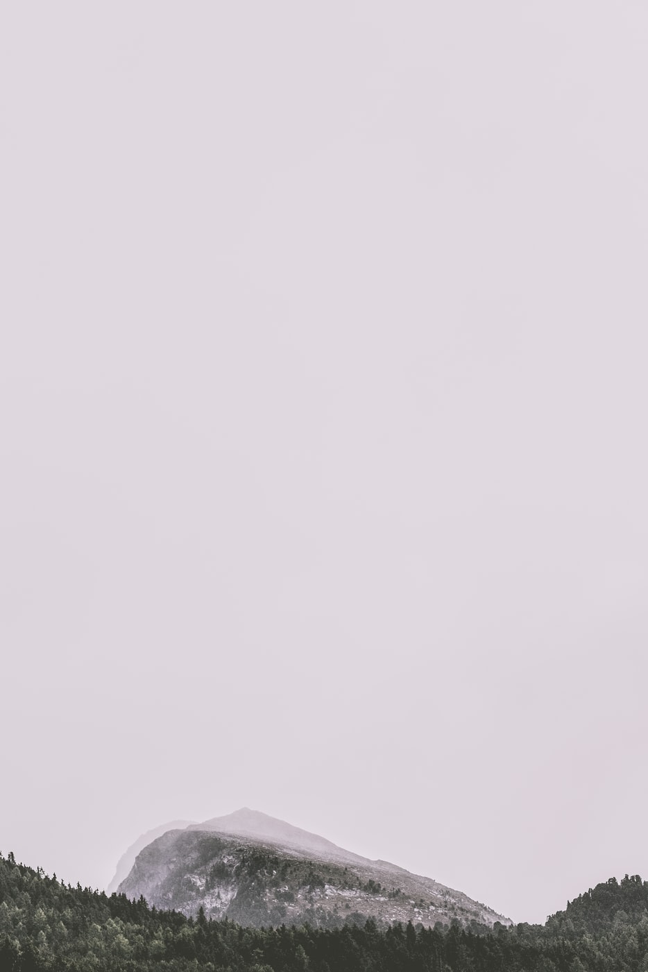 探索最新37TP的魅力与潜力,最新动态一览