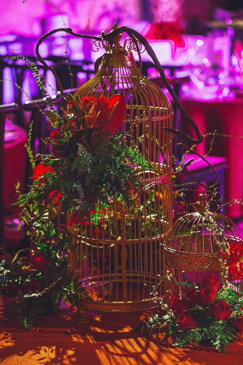 最新婚庆用品精选，梦幻婚礼的完美搭档