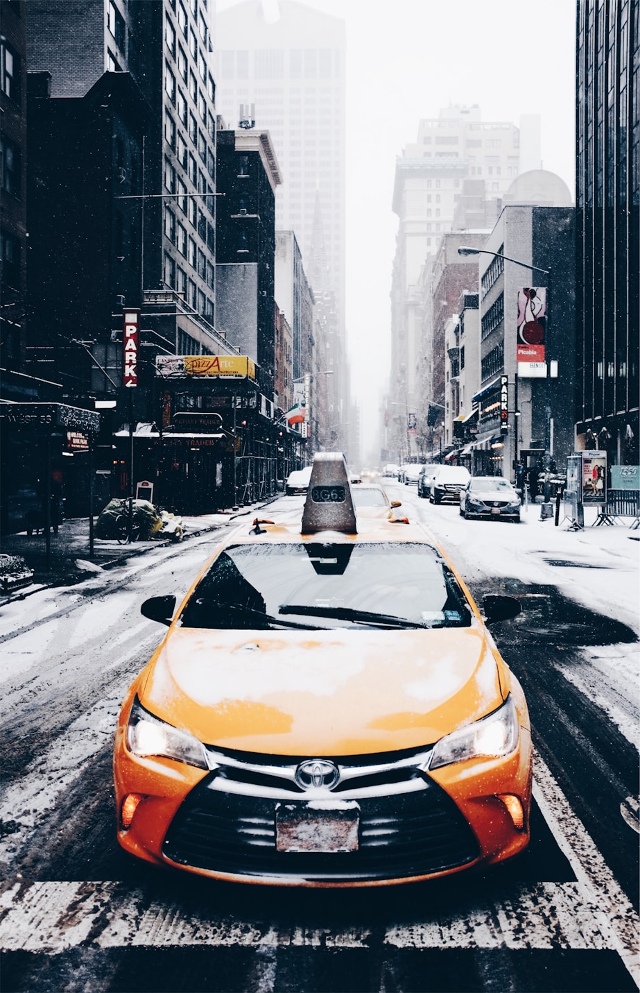 德州最新公交新闻，城市公共交通迈向新篇章