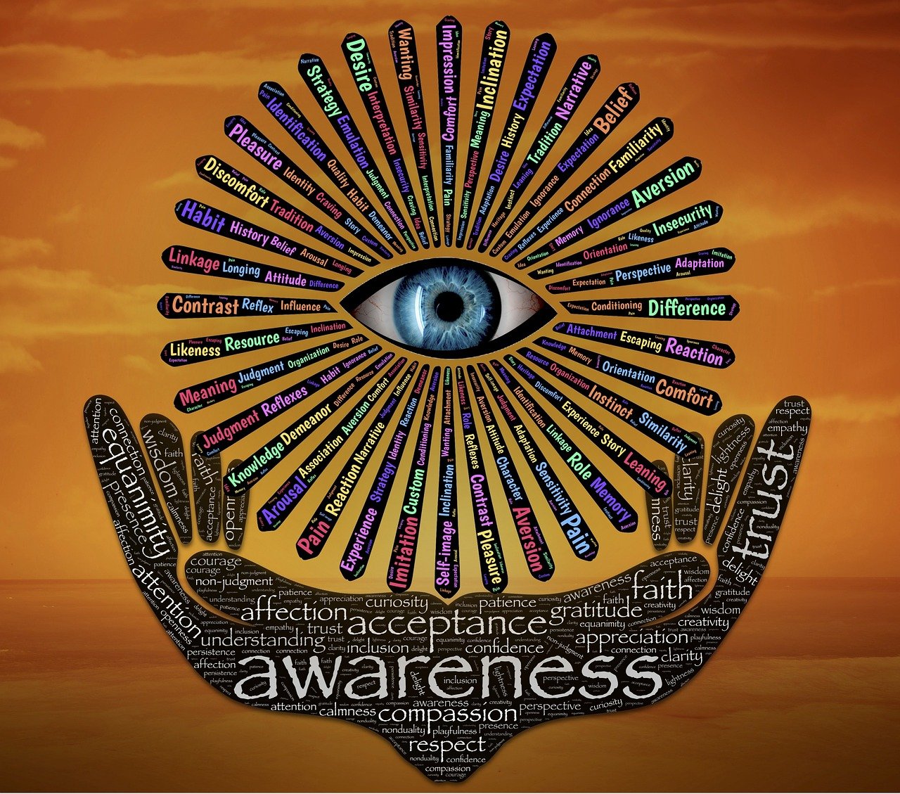 深度解析与反思，最新沉船事故的悲剧与启示