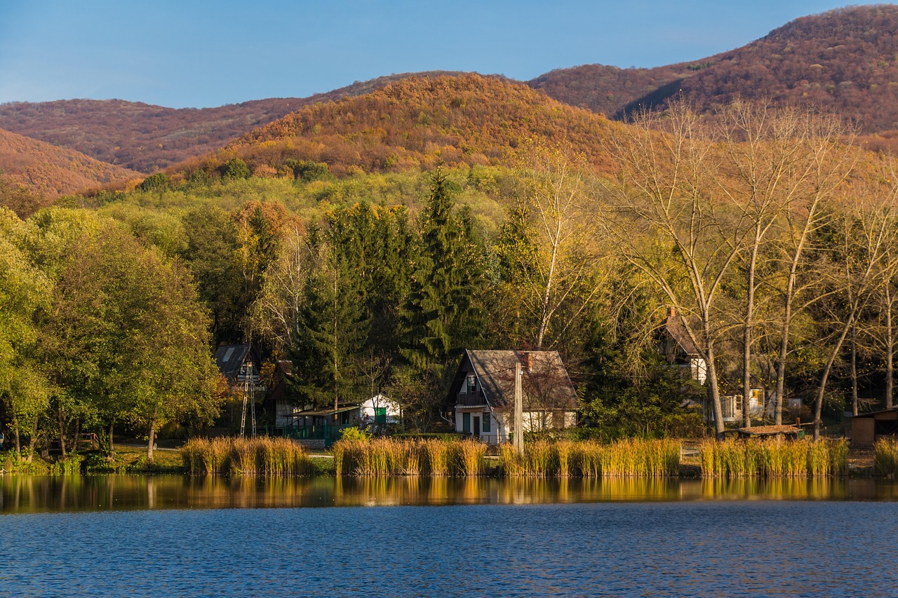 衡阳废铁最新报价及动态分析