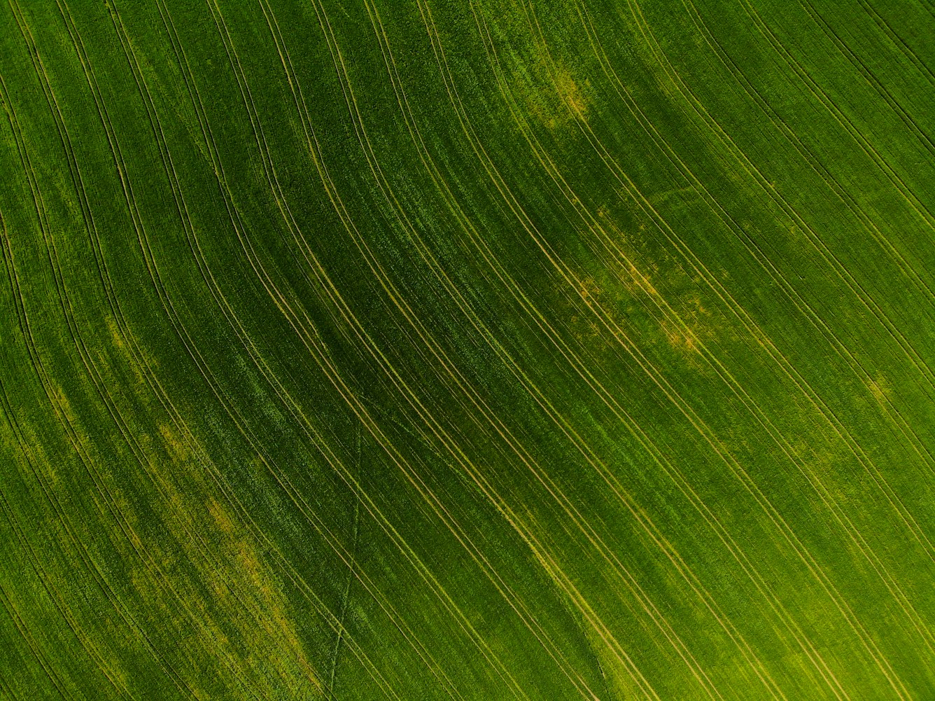 最新绿通目录,引领绿色生活的新航标风向标