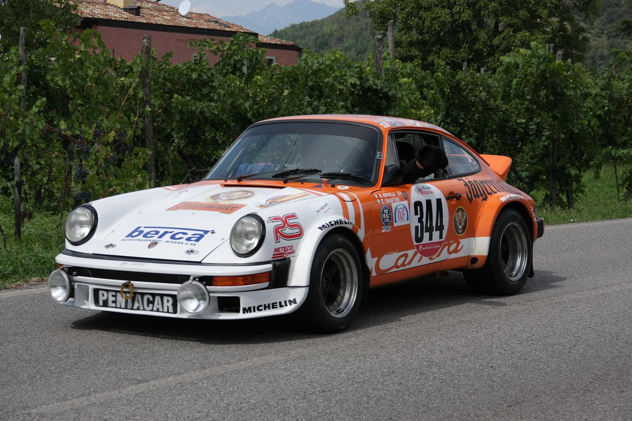 安仁雄森迈向新时代的绿色繁荣之路最新动态报道