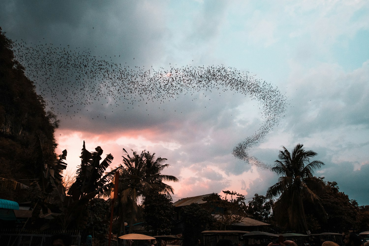 最新野外直播，探索自然，真实生活展现