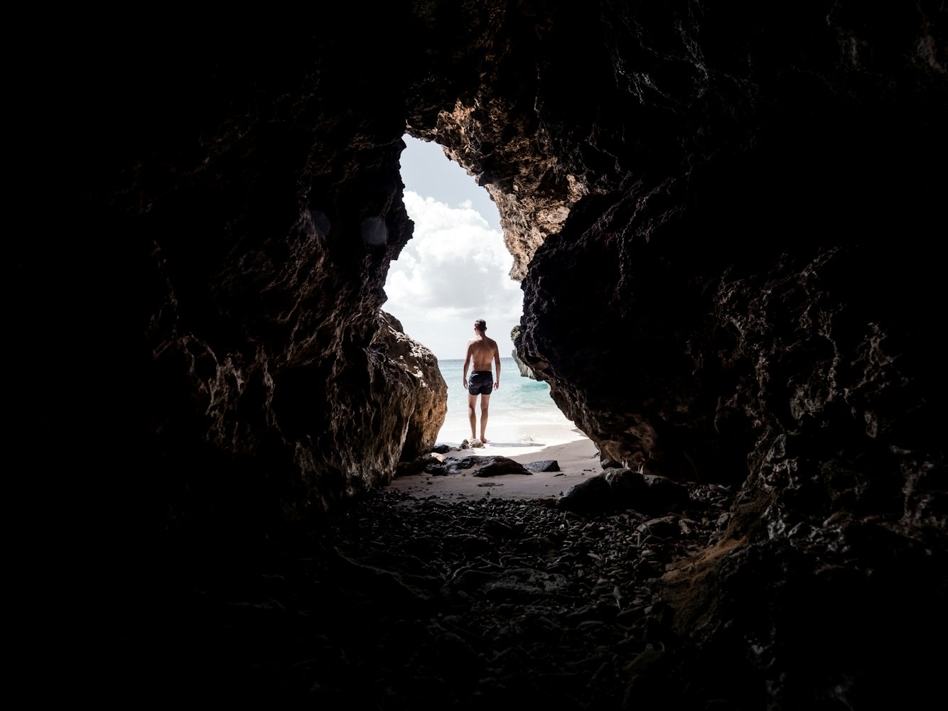 四木最新小说，奇幻世界魅力之旅探索