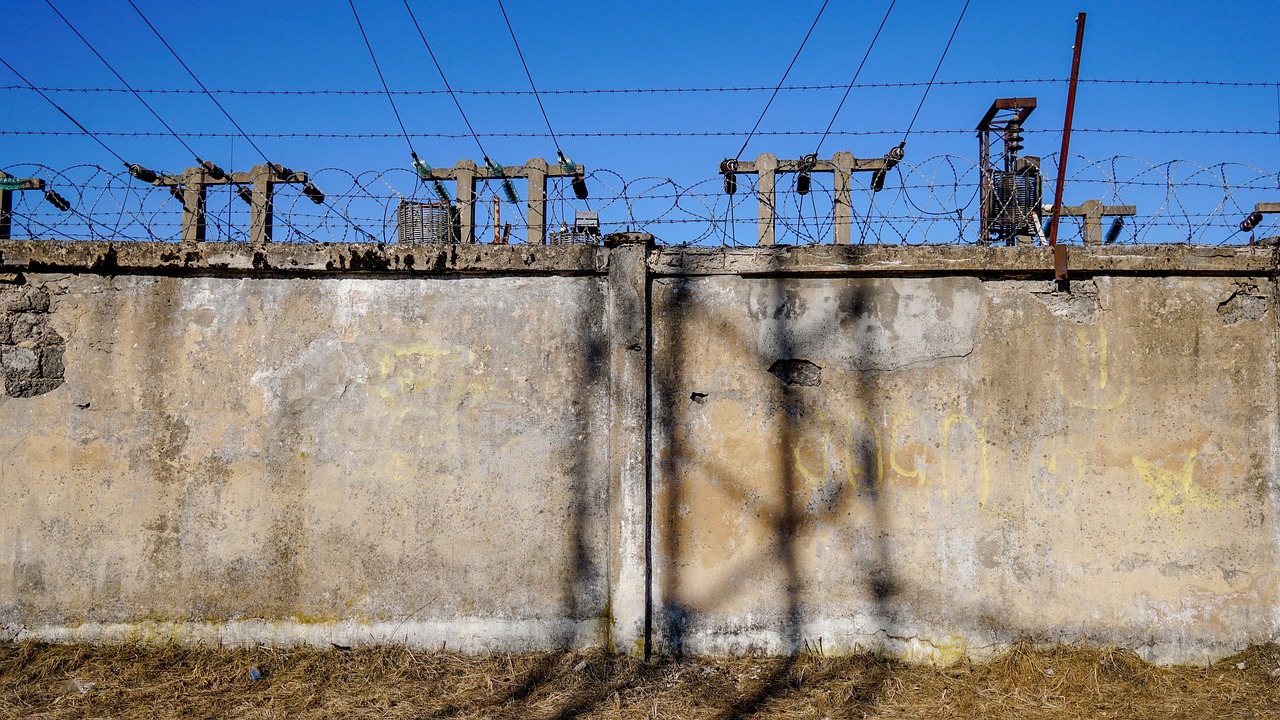 陶建幸最新动态，探索前沿科技，引领行业新风潮